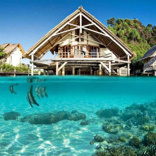 08 rajaampat 22622