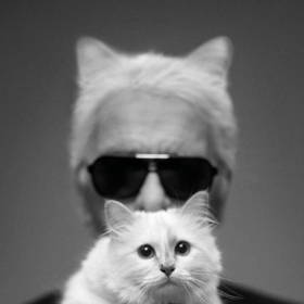 Karl Lagerfeld navrhl kolekci inspirovanou svou kočkou! Karl Lagerfeld navrhl kolekci inspirovanou svou kočkou!