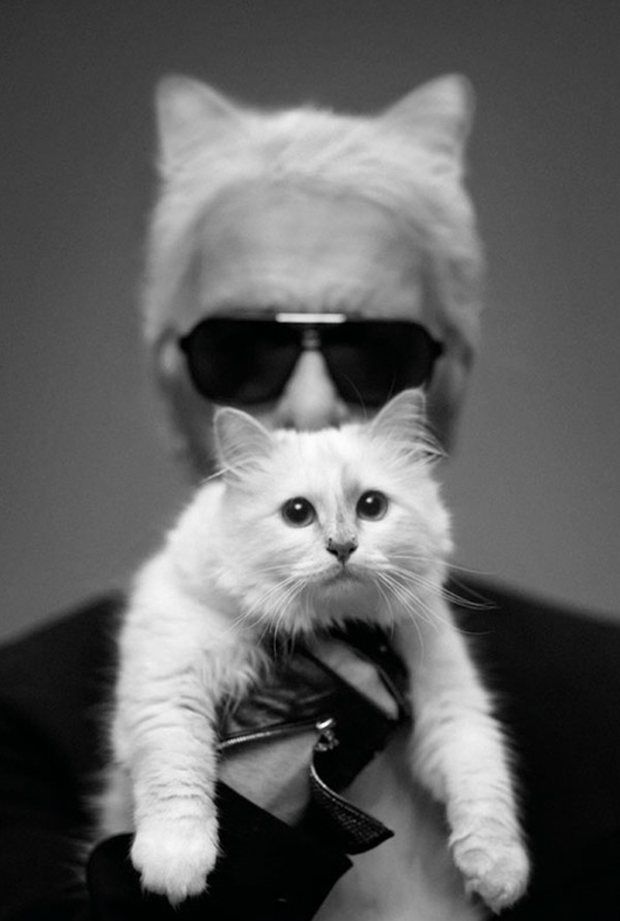 Karl Lagerfeld navrhl kolekci inspirovanou svou kočkou!
