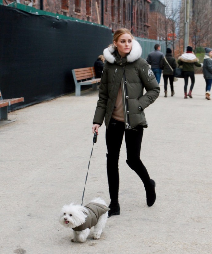 Olivia Palermo