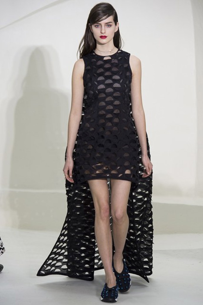 Christian Dior Haute Couture S/S 2014