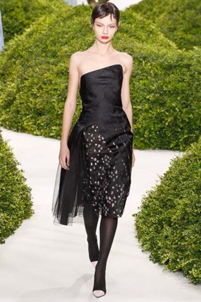 Christian Dior Haute Couture S/S 2013