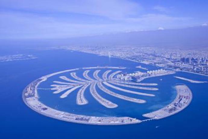 The Palm