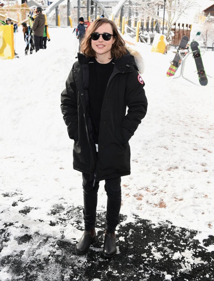 v parce Canada Goose