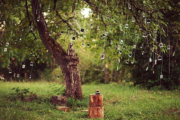 Idylka s polaroidy pod stromem