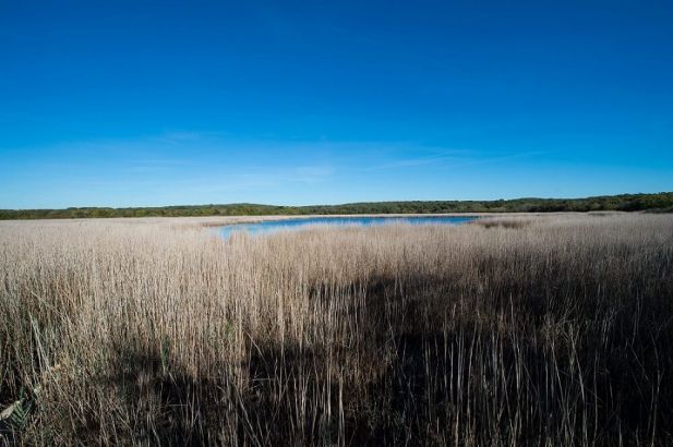 7. palud wetlands aac93 7. palud wetlands aac93