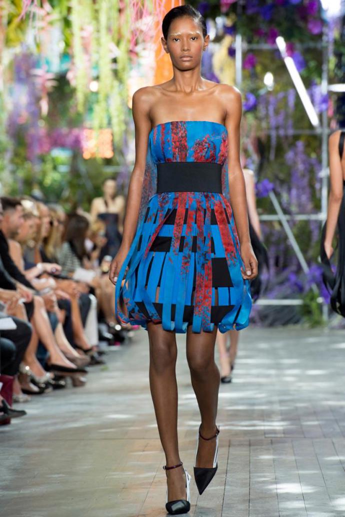 PFW: Christian Dior S/S 2014