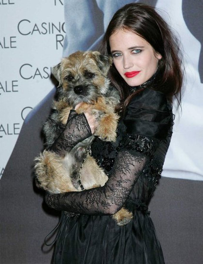 Celebrity & pejsci