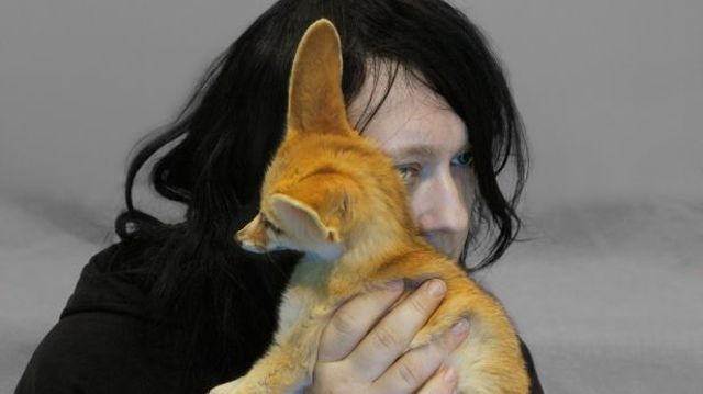 anohni a7d72 anohni a7d72