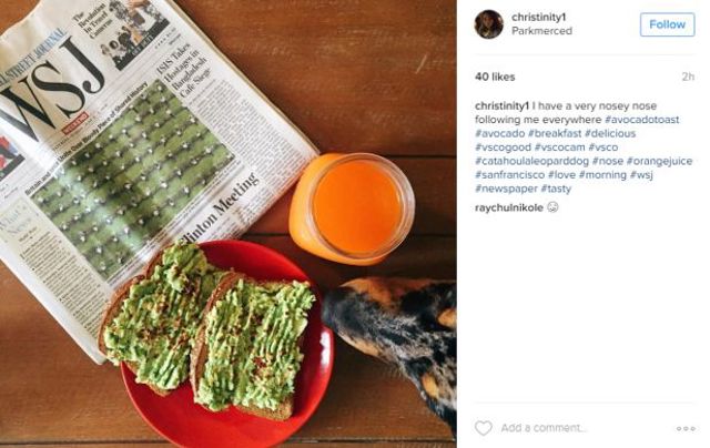 avocadotoast10 27d5c avocadotoast10 27d5c