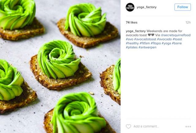 avocadotoast49 9268a avocadotoast49 9268a