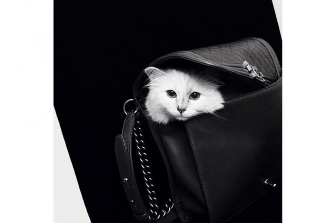Karl Lagerfeld navrhl kolekci inspirovanou svou kočkou!