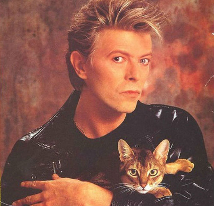 Hudebník David Bowie, in memoriam
