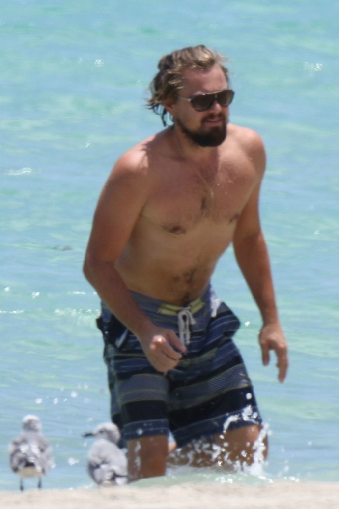 Leonardo DiCaprio