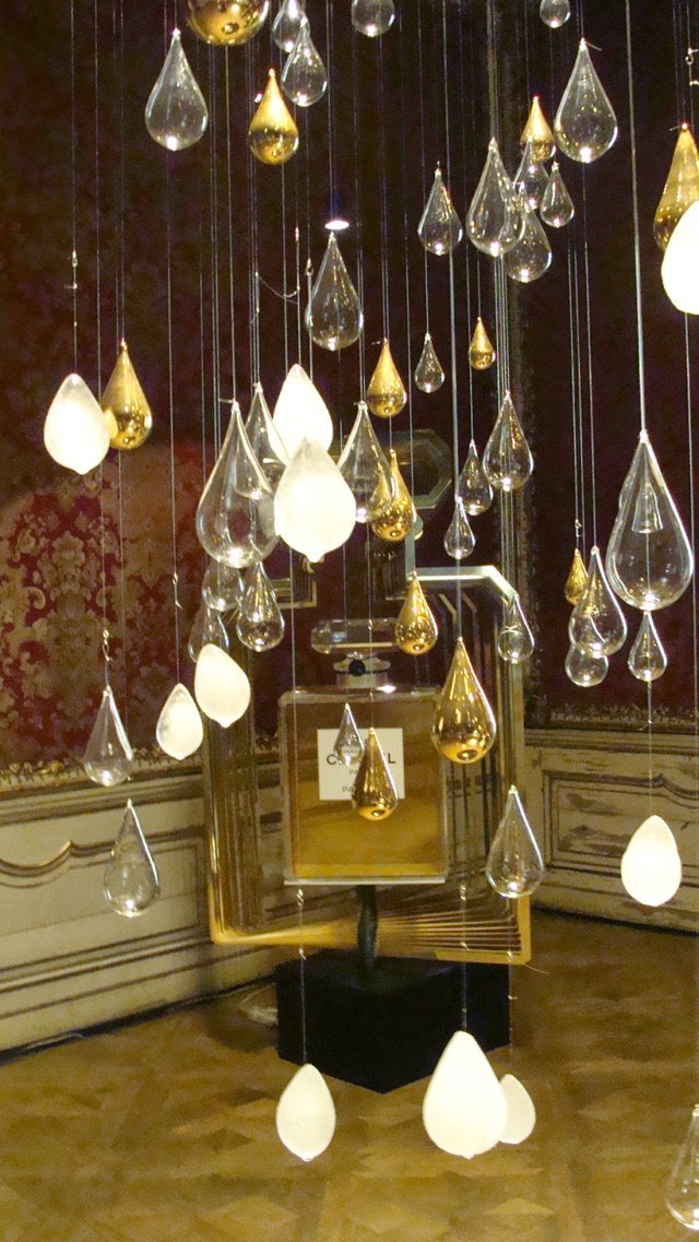 DSC05519 DSC05519