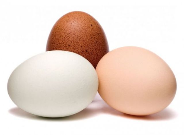 Eggs May 13 p28 660x484 bf4bc