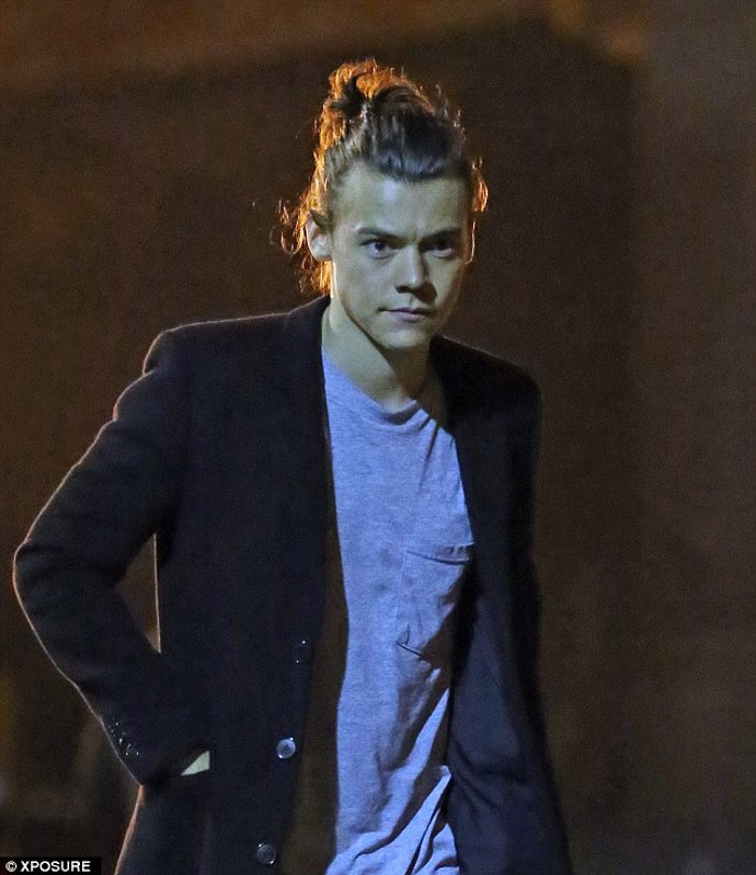 zpěvák Harry Styles