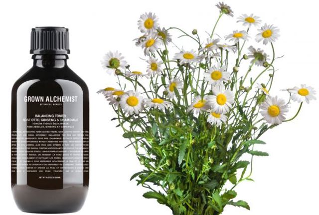Grown Alchemist Toner 0377d Grown Alchemist Toner 0377d