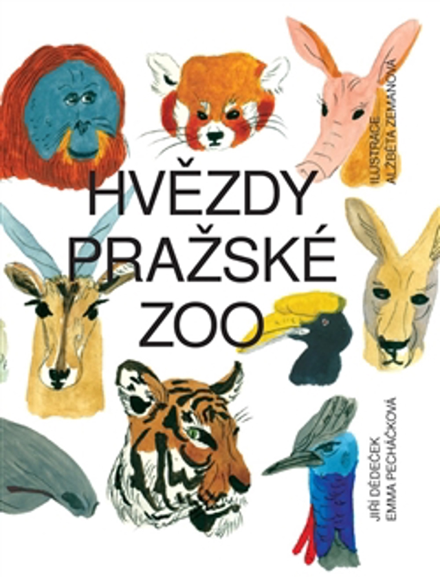 hvezdy hvezdy