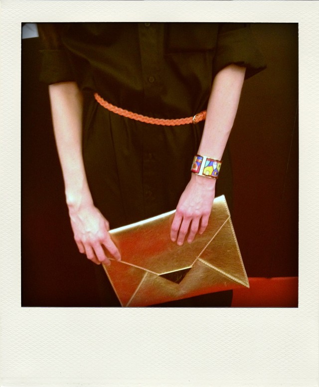 Iva_detail_polas-pola