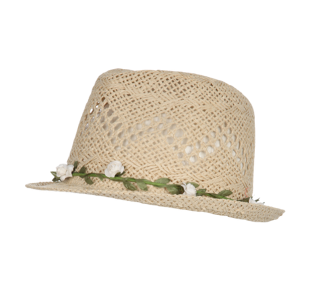 jane_norman_daisy jane_norman_daisy