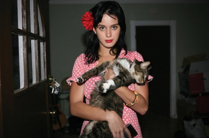 Zpěvačka Katy Perry