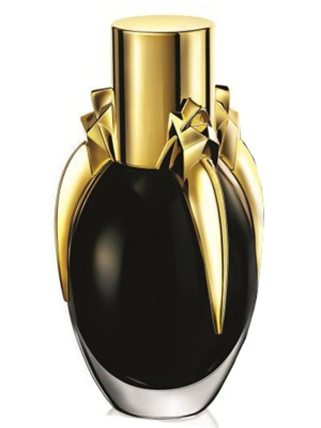 lady-gaga-fame lady-gaga-fame