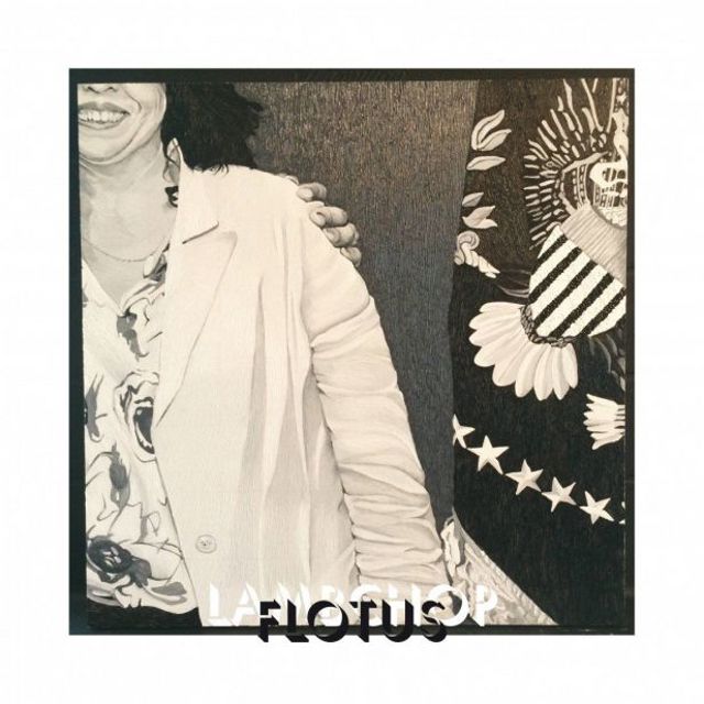 lambchop flotus bb566 lambchop flotus bb566