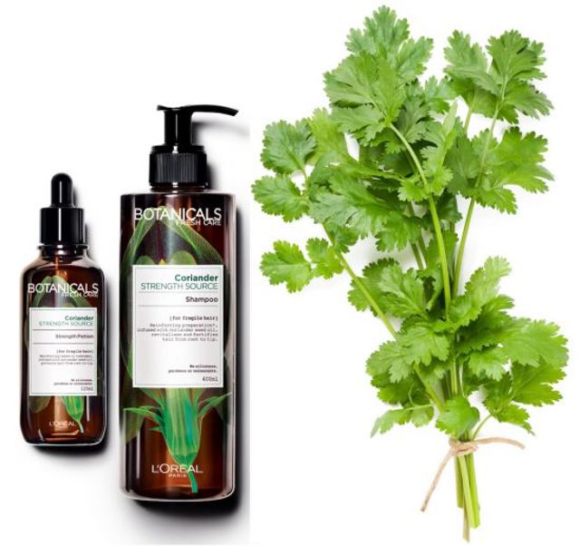 LP BOtanicals 4c131 LP BOtanicals 4c131