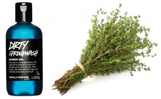 lush dirty springwash l cc646 lush dirty springwash l cc646