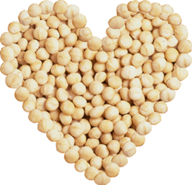macadamia-nut-heart3a_copy macadamia-nut-heart3a_copy