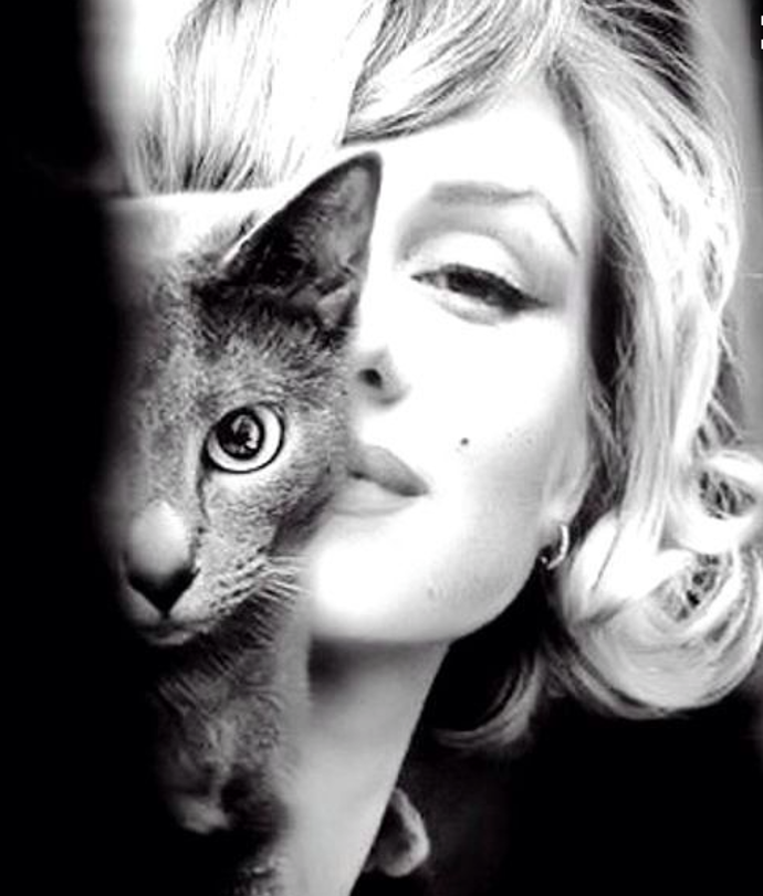 Marilyn Monroe