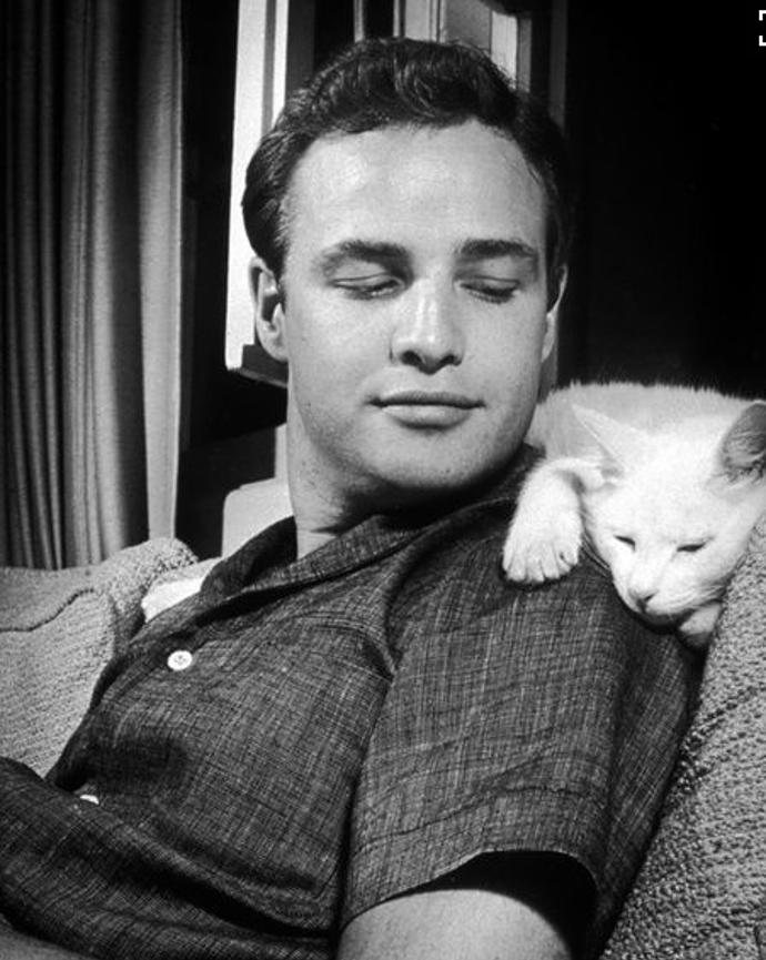 Herec Marlon Brando