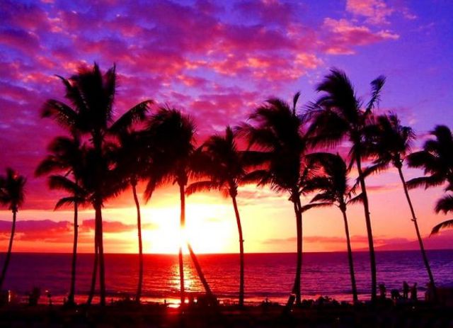 Maui beach 2 18713 Maui beach 2 18713