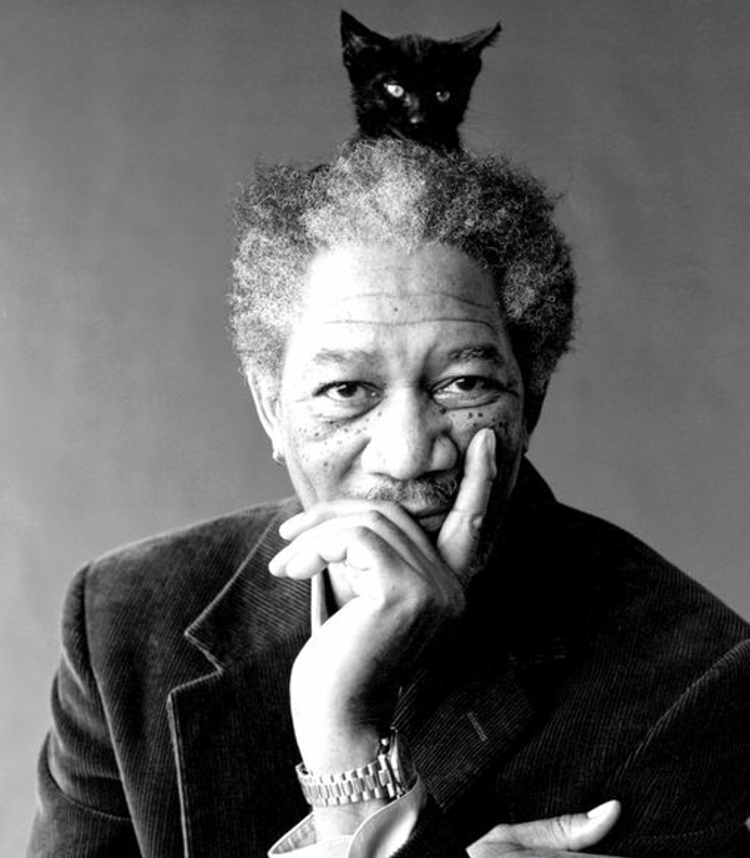 Herec Morgan Freeman