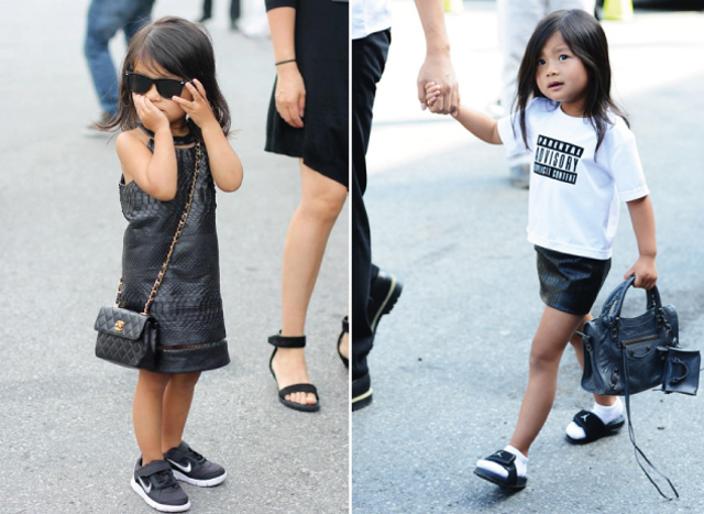 niece_wang niece_wang