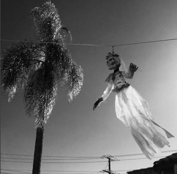 Ivonka (obrázky): „Na Instagramu jsem narazila na tuhle fotku halloweenské princezny. Fotografické duo Radka&Rene se přestěhovalo z Evropy do Kalifornie, do LA a z jejich fotek skutečně dýchá Amerika. Možná je to nový projekt, možná si jen tak hrají, ale z téhle princezny v palmě na mě jde klid, slunce, zábava a chuť slavit strašidelný svátek.