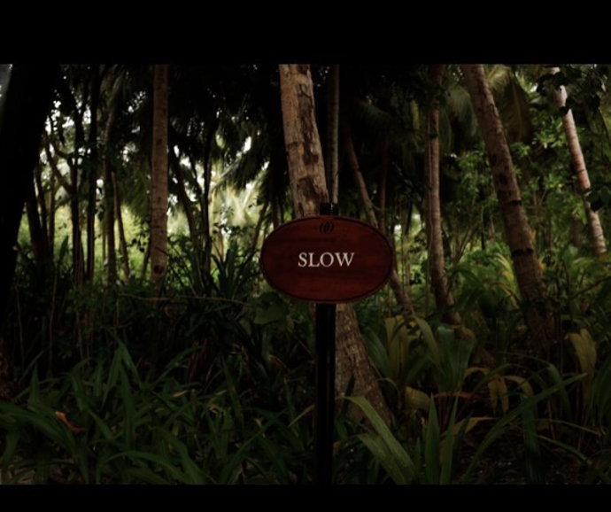 Slow? Slow fashion? Slow photography? 