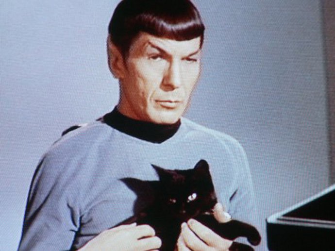 Důstojník Hvězdné flotily Spock