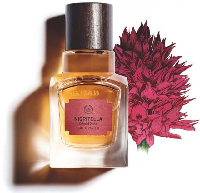 The Body Shop NIGRITELLA d2e8e The Body Shop NIGRITELLA d2e8e