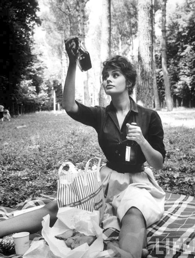 vintage picnic snapshot 37 fd949 vintage picnic snapshot 37 fd949