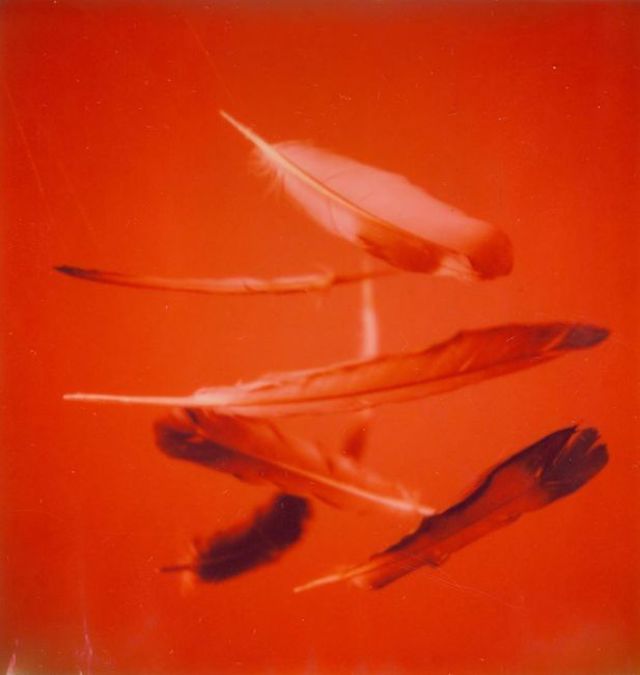 zyla 16b95
