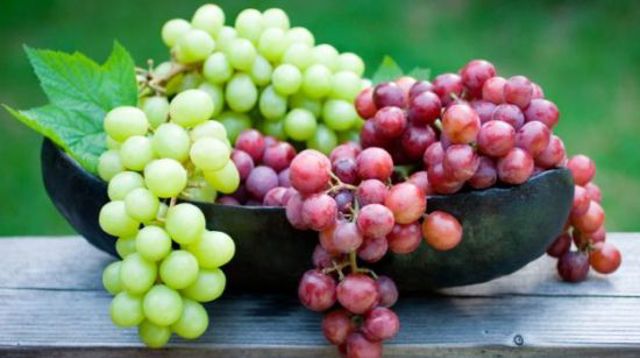 0 grapes 9c9d9 0 grapes 9c9d9