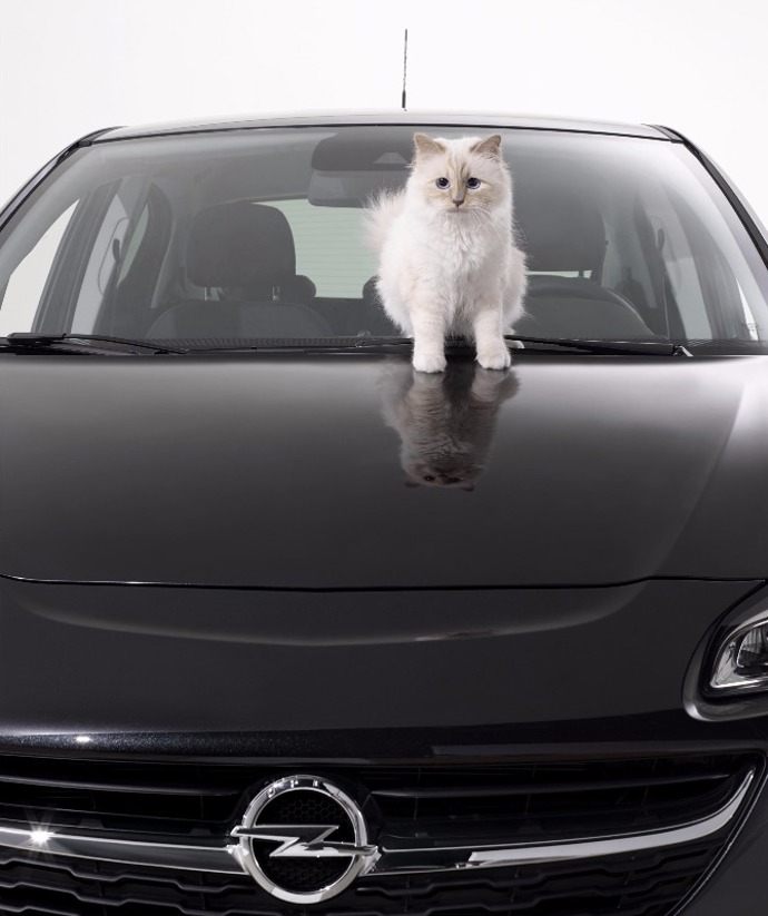 Choupette v reklamě na Opel