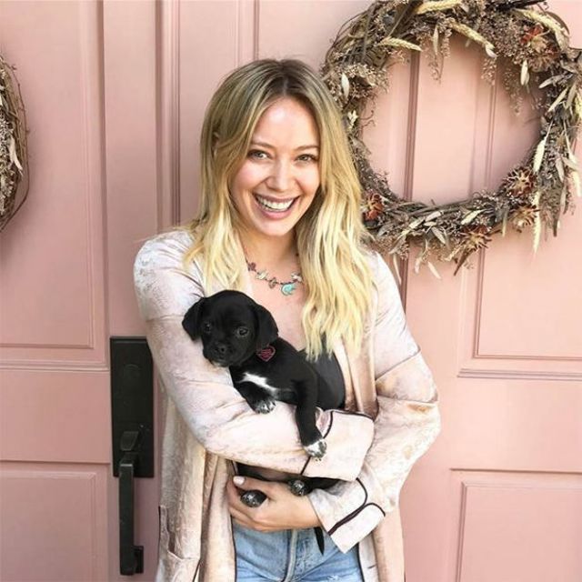 rs 650x650 170503082511 650 hilary duff dog 050317 52c6f rs 650x650 170503082511 650 hilary duff dog 050317 52c6f