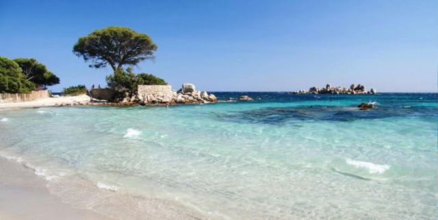 15 Plage de Palombaggia Porto Vecchio Corsica 1bd24