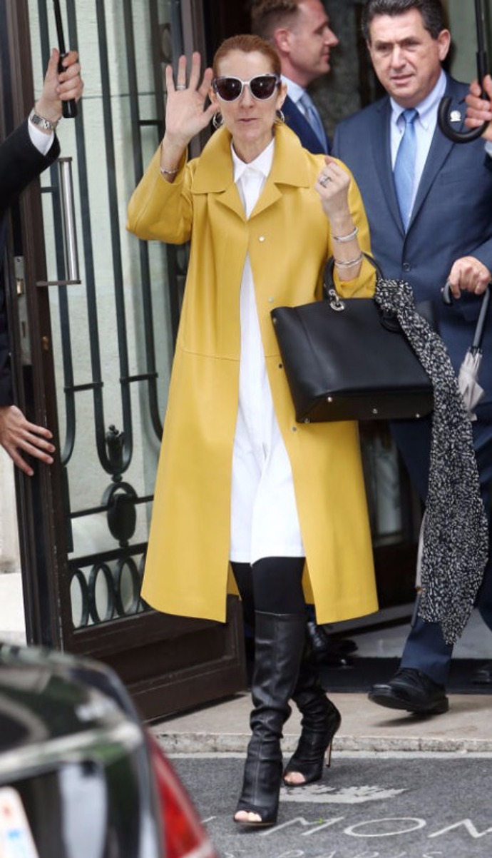 Dámy a pánové, Céline Dion!