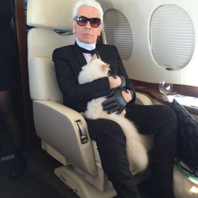 Choupette s Karlem v letadle Choupette s Karlem v letadle