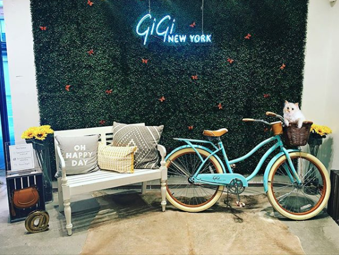 Choupette pro Gigi New York