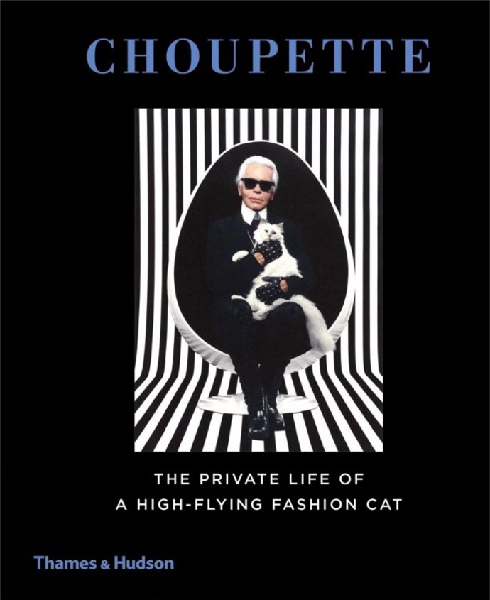 Kniha Choupette